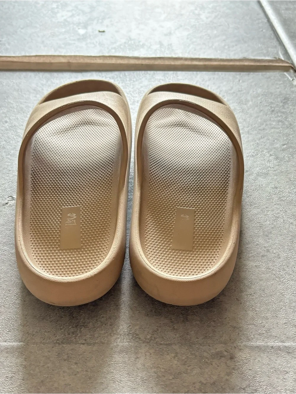 Tan slides